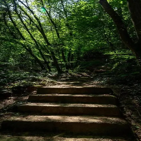 Tente de luxe Safari Tent In Near Forest, Cleaning Included